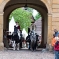CRW_5876.jpg
